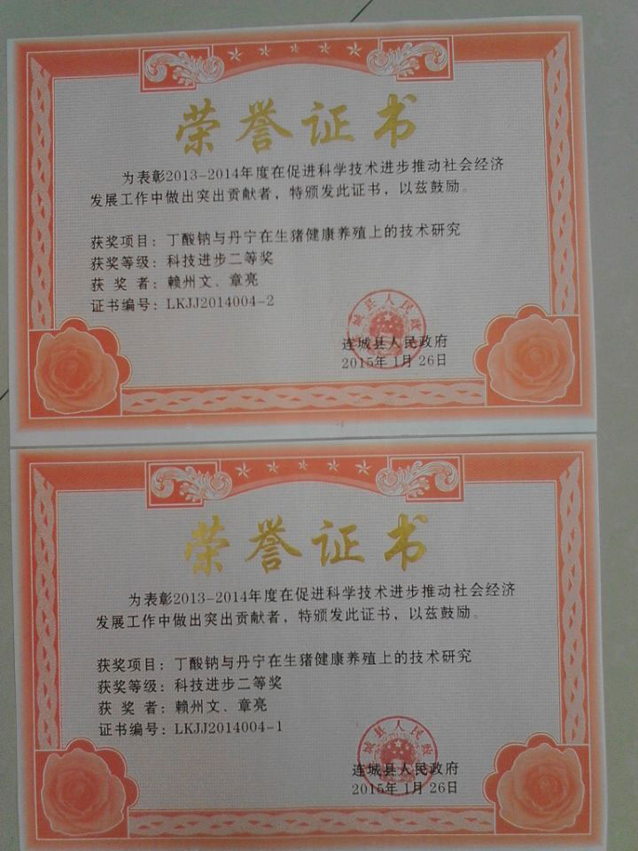 新奧公司榮獲連城縣科技進(jìn)步二等獎(jiǎng)