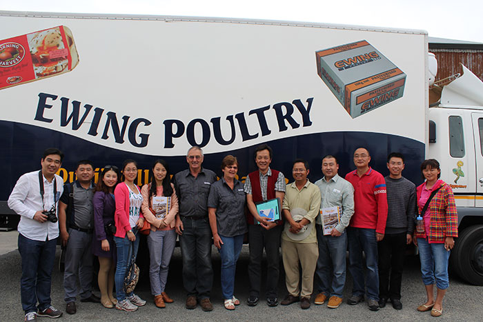 新西蘭蛋雞場參觀考察報(bào)告