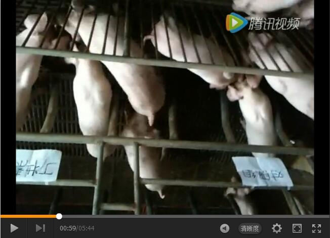 丁壯素誘食實(shí)驗(yàn)