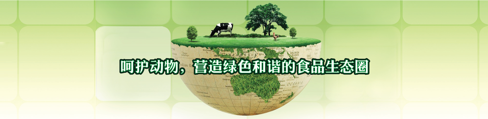 呵護(hù)動(dòng)物健康