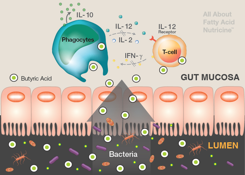 脂質(zhì)營(yíng)養(yǎng)好原料，全面呵護(hù)愛(ài)寵健康