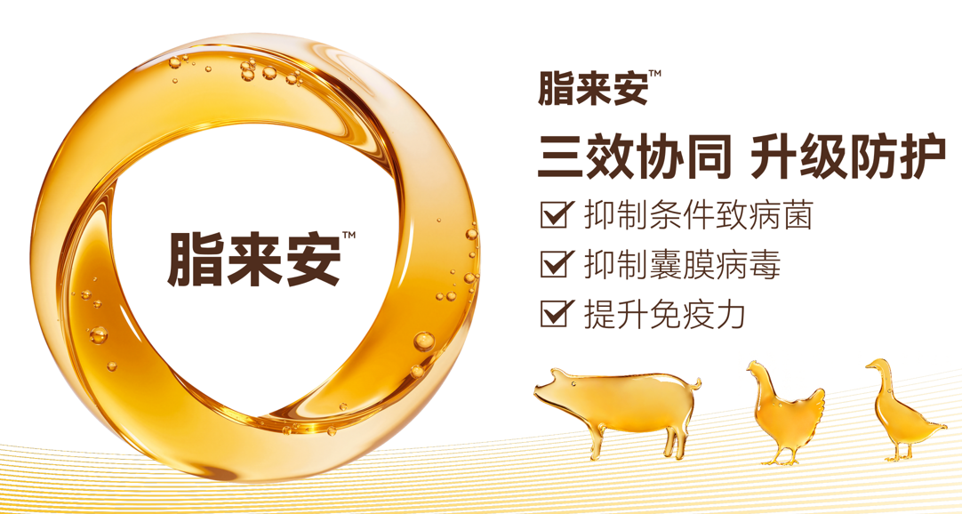 “脂來安”對(duì)豬流行性腹瀉病毒（PEDV）的體內(nèi)抗病毒效果評(píng)價(jià)報(bào)告